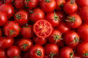 Tomato Processing