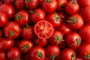 Tomato Processing
